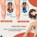 Qqlady Royalaura Medical Quality Compression Stockings for Men & Women - Footless Varicose Vein Support (2 Pairs Size B M) - Buy Online on GoSupps.com