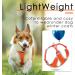 ThinkPet Reflective Air Mesh Vest Leash Set for Small Medium Dogs - Neon Orange - Buy Online on GoSupps.com