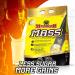 MAMMOTH MASS: Weight Gainer High Calorie Protein Powder Workout Smoothie Shake & MASS: Weight Gainer High Calorie Protein Powder Workout Smoothie Shake Meal Replacement NUTRITIONAL + SUPPLEMENT FID15316 6.8 kg (Pack of 1) - Buy Online on GoSupps.com
