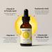 Mad Hippie Vitamin C Serum & Triple C Night Cream Set - Brightening Hyaluronic Acid Skin Care - 2 Piece Set for Radiant Skin - Buy Online on GoSupps.com
