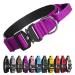Tspro premium dog collar with handle thick adjustable dog collar heavy design of quick lock metal buckle dog collar for small or medium-sized to extra large dogs (purple-l) Handing version size L- (adjustable47-66cm) purple