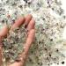 BIKHYY 500g Fluorite Gravel Rocks Bulk Crushed Stones Crystal Pebbles Natural Aquarium Gravel Decorative Polished Stone for Fountain Vase Filler Planters Decorative - Buy Online on GoSupps.com