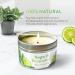 Chandelita Aroma Candle with Essential Oils | Natural Sage & Bergamot | Soy Wax | Chakra & Meditation | Aromatherapy Candle - Buy Online on GoSupps.com
