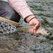 Rio Trout Versileader 7ft 7ips Freshwater Sinking Leader - 12lb Core Black/Black Loop - Buy Online on GoSupps.com
