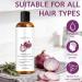 Hair Growth Shampooing - Formule raffermissante naturelle pour cheveux claircissants | Hydrate le cuir chevelu favorise le remplissage et la sant des cheveux | Nettoyant quotidien doux pour hommes - Buy Online on GoSupps.com