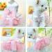 BT Bear Smally Disching Retro Tutu Dress for Cats & Small Dogs | Pups Rock Princess Dress for Weddings | Pink Medium - Buy Online on GoSupps.com