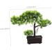 TOPBATHY Welcome Song Japanese Pine Bonsai Home Desk Fake Pine Fake Bonsai Fake Tree Pot Ornaments Guest-greeting Pine Bonsai Decor Plant Office Fake Pine Plastic Desktop Potted Tree As Shown 2 33X26CM - Buy Online on GoSupps.com
