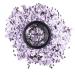 Stargazer Glitter Cosmetics | Large Biodegradable Glitter Sequins for Festivals - Shop Now! - Buy Online on GoSupps.com