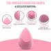 Buy SAA Makeup Sponge - Light Pink Nude Blender Latex-Free Super Soft Beauty Sponge for Liquid Foundation - 2pcs - Buy Online on GoSupps.com