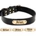 Personalized Leather Dog Collar for Large Dogs - Engraved Name & Phone Number - Black XL | Tagme - Buy Online on GoSupps.com