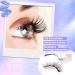 ALICE Magnetic Eyelashes Kit Natural Cat Eye False Eyelashes with Magnets and Magnetic Lash Applicator Reusable Faux Mink Magnetic Lashes Kit Easy to Use No Glue Needed D27 - Buy Online on GoSupps.com