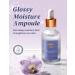 MILKTOUCH Glossy Moisture Ampoule | Niacinamide Facial Moisturizer for Dry Skin | Hydrating Serum for All Skin Types | Korean Skin Care (40 ml) - Shop Internationally - Buy Online on GoSupps.com