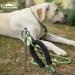 Campingmoon Dog Tie Out Stake 360 Swivel Heavy Duty Strongest Dog Anchor Spike for Tie-Out Cable Chain in Yard or Camping - Buy Online on GoSupps.com