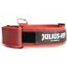 Julius K9 Color & Gray Series Adjustable Neck Band with Handle - 50mm (49-70cm) - Safety Closure - Red-Gray for Dogs - Buy Online on GoSupps.com