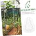 KONTONTY 3pcs Vegetable Small Mould Growth Forming Ginseng Small Fruit Plastic Gourd - Buy Online on GoSupps.com