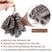 MIMAN 10 Inch Short Saniya Curls Crochet Hair 5-Packs, Black Mix Grey - Synthetic Braiding Hair for Black Women - Buy Online on GoSupps.com