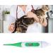 Buy Waterproof Digital Pet Fever Thermometer Accurate Animal Thermometer for Horses Cattle Dogs & Cats - LCD Screen - Buy Online on GoSupps.com