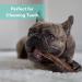 **Elk Antler Dog Chews - Dental Sticks for Dogs - Premium Elk Antler Dog Bone - Natural Premium Long Lasting - Preservative Free Cruelty Free - Naturally Shed in Canada by EZ Antler Chews (Small Split)** - Buy Online on GoSupps.com