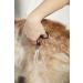 Buy Andis 6.5 Thinning Shears for Professional Dog & Cat Grooming | Right-Handed Grooming Shears (80645) - International Shipping Available - Buy Online on GoSupps.com