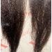 4pack NEW 60 INCH XPRESSION LAGOS BRAID PRE-PULLED PRE-STRECHED Hair Extension 60 2 In A Pack (Colour 33 Brown/Auburn) Heat Resistant Tangle Free Dark Auburn Brown 1 - Buy Online on GoSupps.com