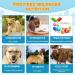 Glucosamine Treats for Dogs - 120 Soft Chews Duck Flavor -Chondroitin for Hip & Joint Health -Contains Dog Probiotics Support Digestive & Immune Support Advanced Hip and Joint Supplement for Dogs - Buy Online on GoSupps.com