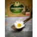  Dary Natury THE CHAMOMILE ORGANIC (25 x 2.5 g) - GIFTS OF NATURE - Buy Online on GoSupps.com