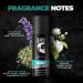 Beardos Mariner Perfume EDP 50ml & Mariner Captain Jack Perfume Body Spray 120ml | Eau De Parfum | Long Lasting Perfume for Men | Deodorant Body Spray for Men | Day Time Fragrance Body Spray For Men | - Buy Online on GoSupps.com