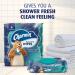 Charmin Flushable Wipes - 480 Total Wipes, 12 Packs of 40, Packaging May Vary - Buy Online on GoSupps.com