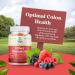 Prebiotic Fiber Gummies for Adults - Immune & Digestive Support - 30ct Vegan Halal Supplement - Buy Online on GoSupps.com