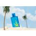 Barbie & Ken Fine Fragrance Bundle Women's Perfume Men's Fragrance Eau de Parfum - Buy Online on GoSupps.com