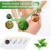 2 Boxes Mugwort Belly Patch 60Pcs Pills & Sticker Set for Moxa Hot Moxibustion - Buy Online on GoSupps.com