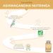 ASHWAGANDHA Organic - Patented Extract Standardized to 5% Withanolides - Physical & Mental Wellness Tone & Concentration - 600 mg - 90 Vegan Capsules - Nutrimea - Made in France - Buy Online on GoSupps.com