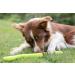 TRIXIE Robust Snack-Snake for Dogs - 42 CM Green TPR Chew Toy | Keep Your Pet Engaged with Snacks & Treats - 34949 - Buy Online on GoSupps.com