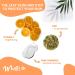 Nutriglow Advanced Organics Vitamin C Sunscreen SPF 50 (100Gm) & Body Lotion (150Ml) Daily Use for All Skin Type - Combo Pack of 2 - Buy Online on GoSupps.com