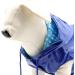 Buy Croci C7274482 Raindrop Blue Raincoat for Dogs - 30 cm | International Shipping Available - Buy Online on GoSupps.com