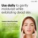 Turmeric & Basil Face Polish - Exfoliating Wash for Acne & Dry Skin - Gentle Vegan Moisturizer - 5 oz - Buy Online on GoSupps.com