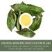 HerbLk Premium 30+ (15g / 0.5oz) Organic Soursop Dried Leaves Tea Whole Leaves Wildcrafted Graviola/Hoja De Guanabana Loose Leaf Herbal Tea - Buy Online on GoSupps.com