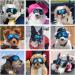 NAMSAN Dog Goggles Eye Protection Dog Sunglasses Anti-UV Goggles Windproof Puppy Goggles with Adjustable Flexible Straps for Small/Medium Dogs (Blue) - Buy Online on GoSupps.com