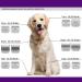 Detachable Pet Dog Grooming Clipper Ceramic Blades Compatible with Andis Size 3-3/4FC Cut Length 1/2"(13mm) Compatible with Oster A5 Wahl KM10 Series Clippers - Buy Online on GoSupps.com