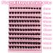 Selawasty 120 Lash Clusters D Curl Individual Eyelash Extensions - Wispy DIY Clusters for At-Home Application - Buy Online on GoSupps.com