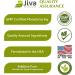 Jiva Botanicals Organic Bacopa Monnieri Capsules - 300mg Extract for Brain Health - Memory, Focus, Energy & Clarity Support - 60 Capsules - Buy Online on GoSupps.com