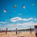 Coqoyo Dragon Kids Kite - Cute Cartoon Anime Design for Beach & Outdoor Fun | Perfect for Ages 3+ | Dog Patrol & Insliner Flight with Handle & Lines - Buy Online on GoSupps.com