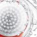 Buy Facial Cleansing Brush & Exfoliator with 2 Brush Heads Shop Internationally for Radiant Skin - Buy Online on GoSupps.com