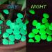 Halcyerdu 200 Pcs Fluorescent Pebble Stones - Bright Green Night Light Stones for Aquarium & Garden Decoration - Buy Online on GoSupps.com