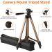 Amazon Basics 50-Inch Camera Mount Tripod Stand with Bag - Lightweight and Portable | 1-Pack - Buy Online on GoSupps.com