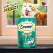Dreamies Cat Treats Tasty Snacks with Tempting Turkey 8 Pouches of 60 g Turkey 60 g (Pack of 8) - Buy Online on GoSupps.com