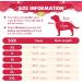Cozy Christmas Dog Sweater | Warm Winter Knitted Pet Sweater | Reindeer Design for XS Dogs | Perfect Holiday Gift - Buy Online on GoSupps.com