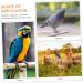 100 pcs Xuan Feet Charms Colorful Hen Leg Drumstick Number Products Stuff Identification Pigeons 1.3X1.3CM Orange - Buy Online on GoSupps.com
