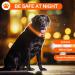 Luminous LED Dog Collar - USB Rechargeable Waterproof Adjustable Length | Yordawn Pet Safety Collar with Power Display & 3 Lighting Modes for Small & Medium Dogs & Cats - Orange - Buy Online on GoSupps.com