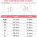 Joyal Dog Harness for Small Dogs - Reflective Soft Padded Air-Mesh Breast Dishes for Puppies | Pink S (38-42cm) - Buy Online on GoSupps.com